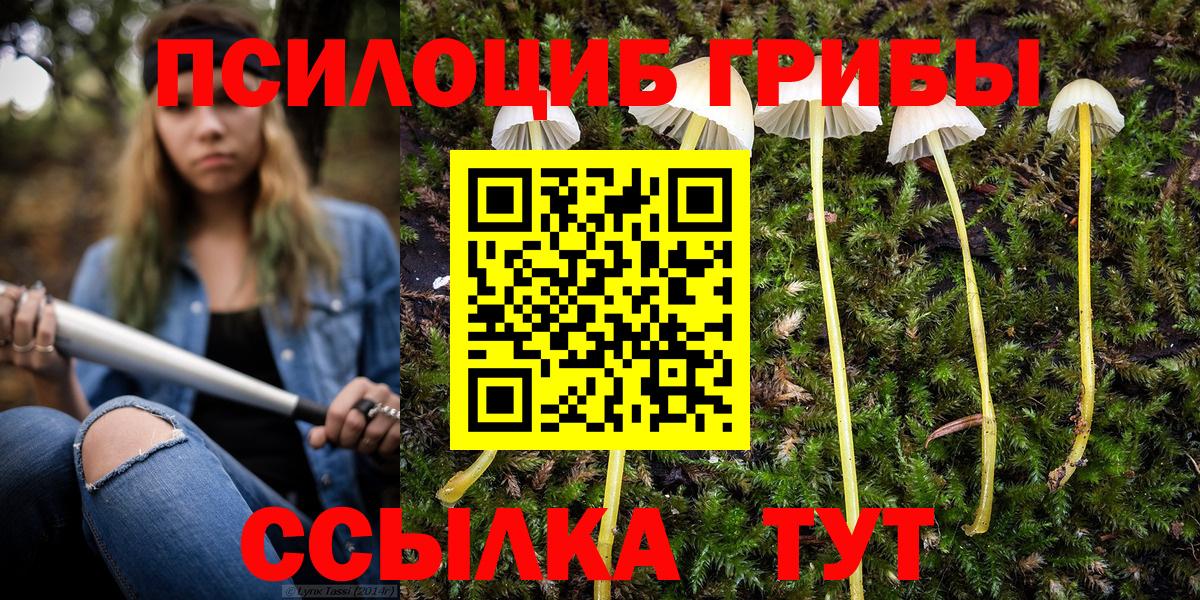 Галлюциногенные грибы Psilocybine cubensis  Вход с VPN  Псилоцибиновые грибы GOLDEN TEACHER  как найти закладки  Семёнов 